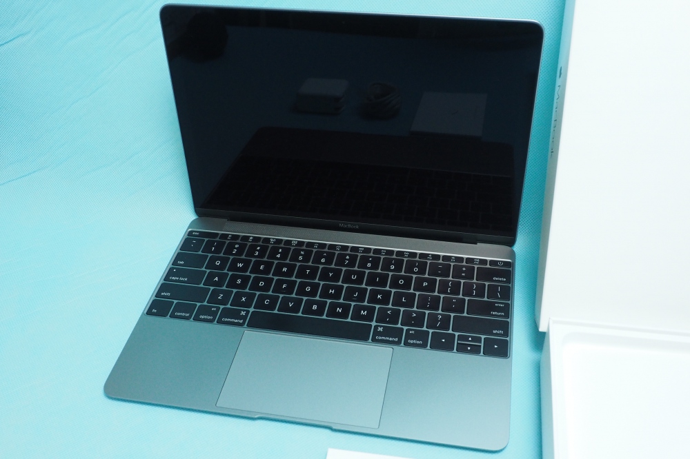Apple MacBook/12inch/スペースグレイ/1.3GHz Core m7/8GB/SSD 256GB/Graphics 515/Early 2016/英字キー/充放電 61回、その他画像１