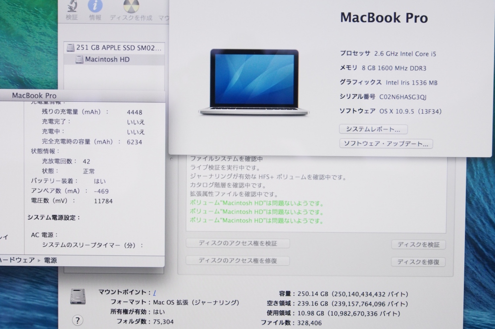 Apple MacBook Pro Retina 13.3 i5 8GB SSD256GB MGX82J/A 充放電回数42回、その他画像３